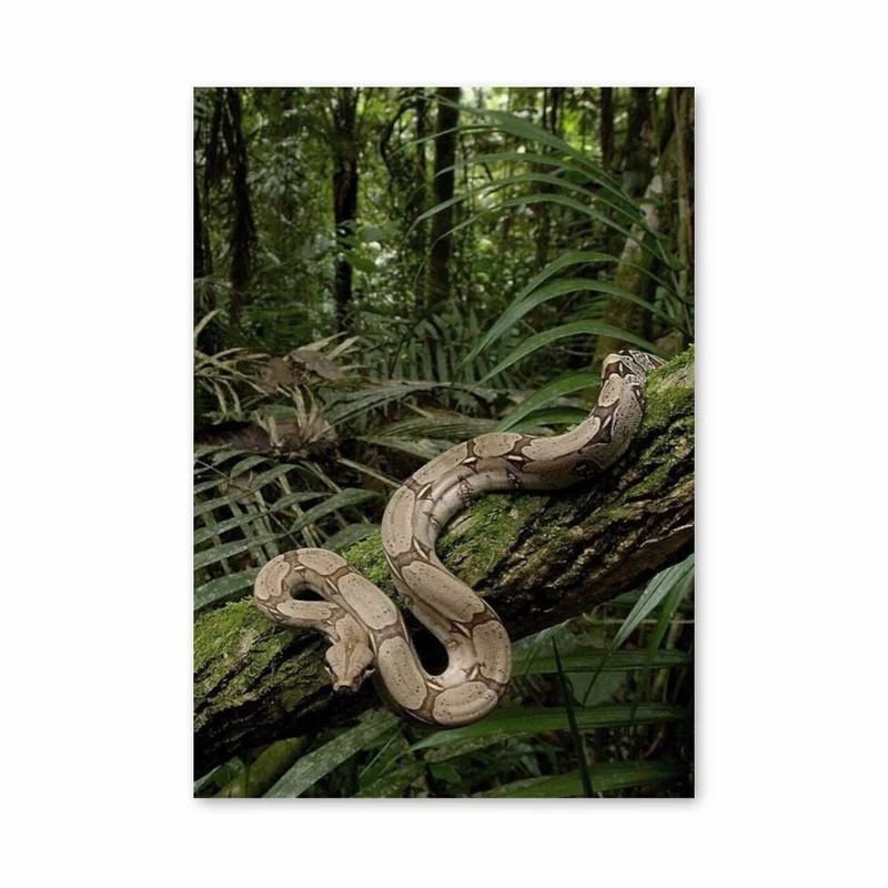 aesthetic-posters11289045