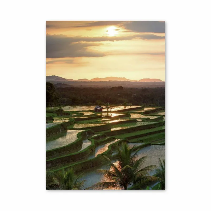 aesthetic-posters11290107