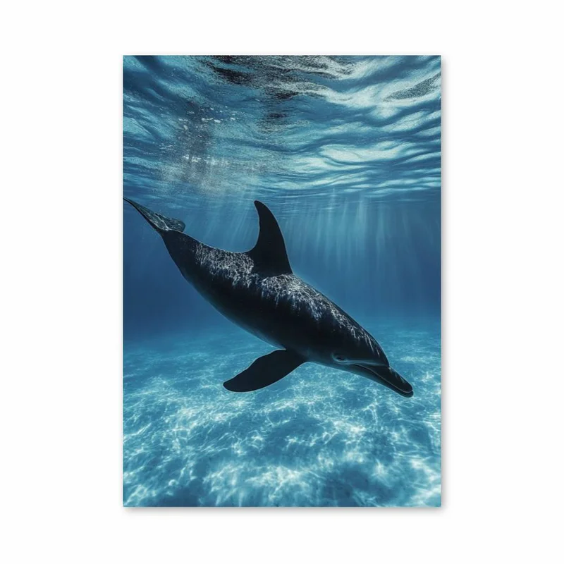 aesthetic-posters11292852