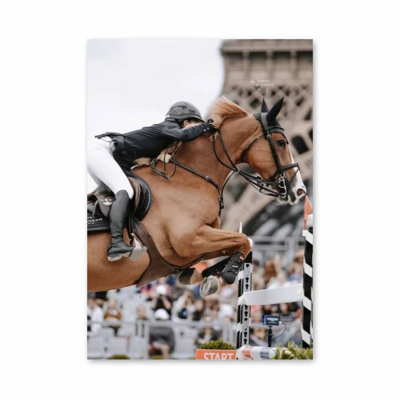 aesthetic-posters11293625