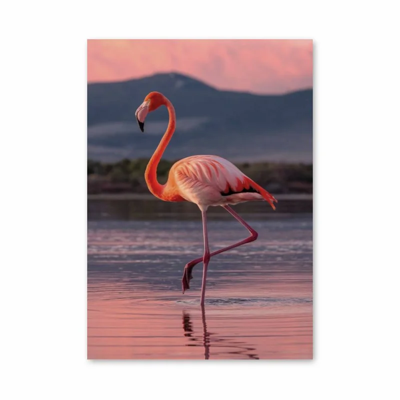 aesthetic-posters11294430