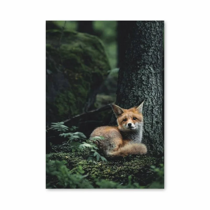 aesthetic-posters11294524