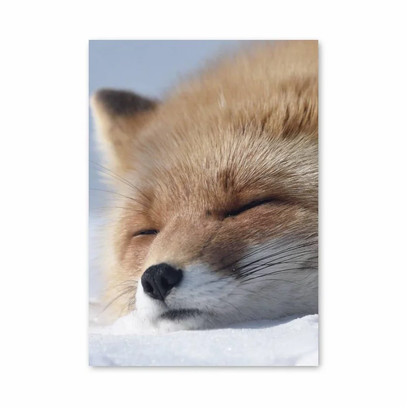 aesthetic-posters11294546