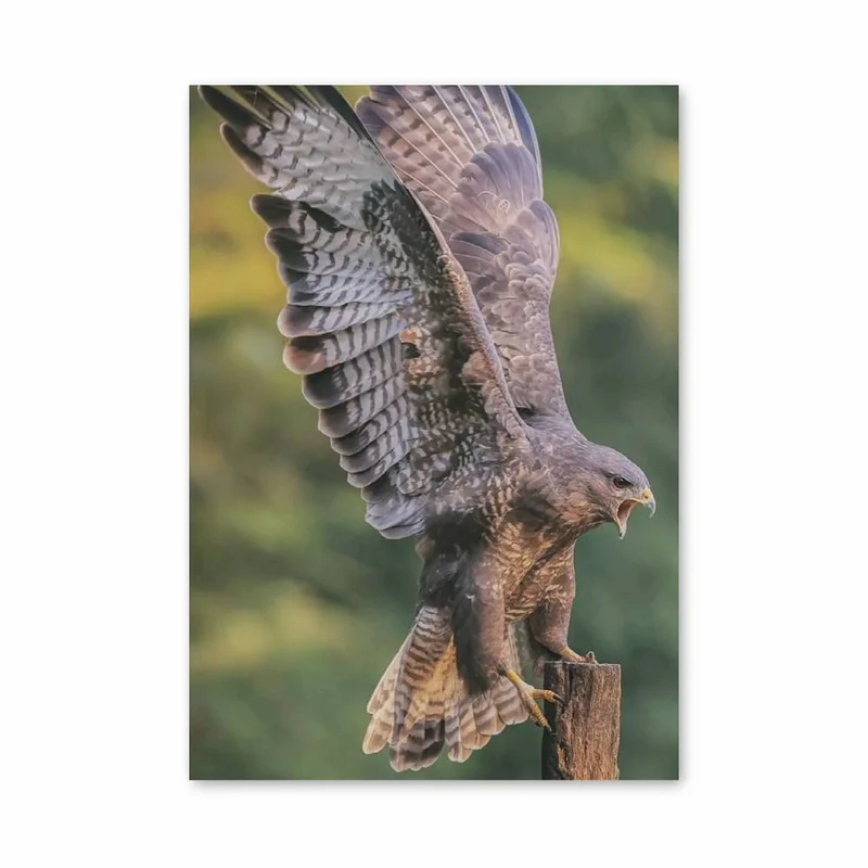 aesthetic-posters11296315