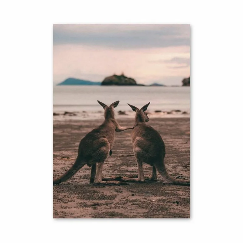 aesthetic-posters11298296