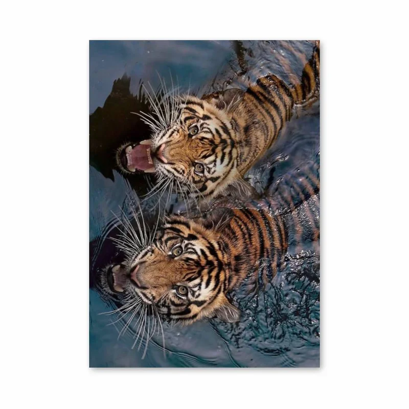 aesthetic-posters11304265