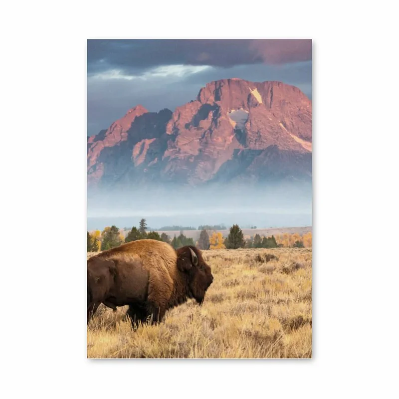 aesthetic-posters11305556