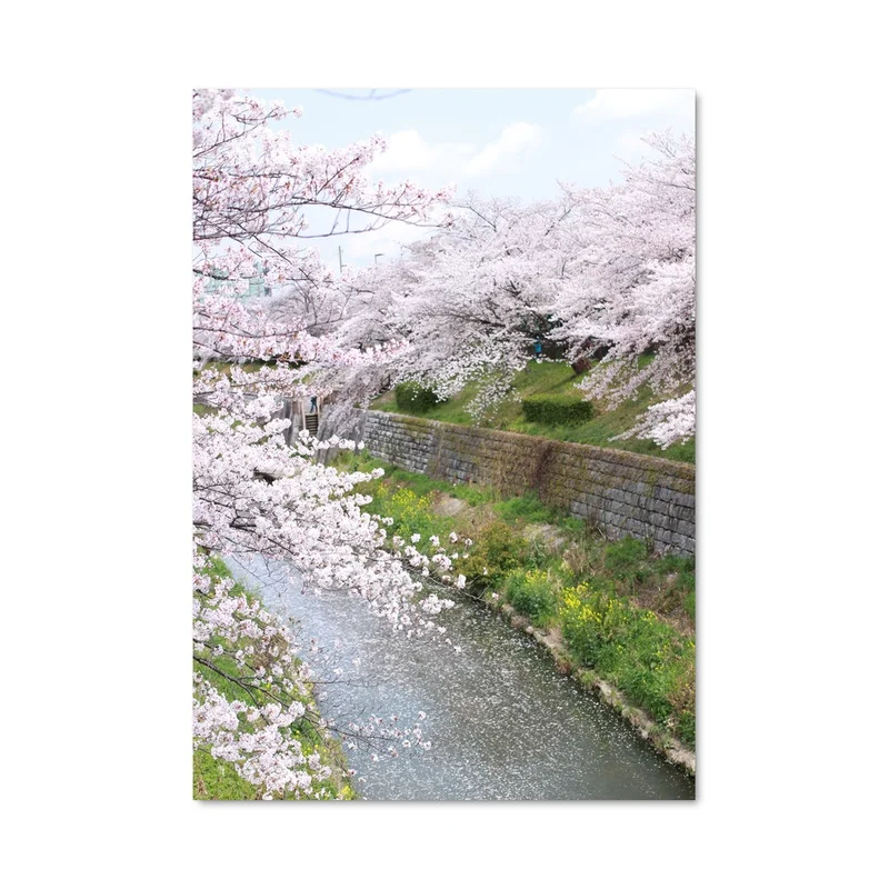 aesthetic-posters11305694