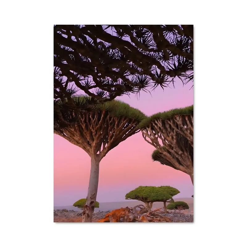 aesthetic-posters11326429