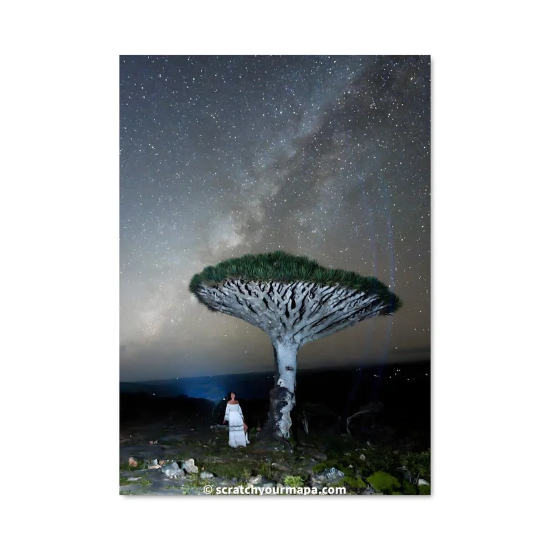 aesthetic-posters11326434