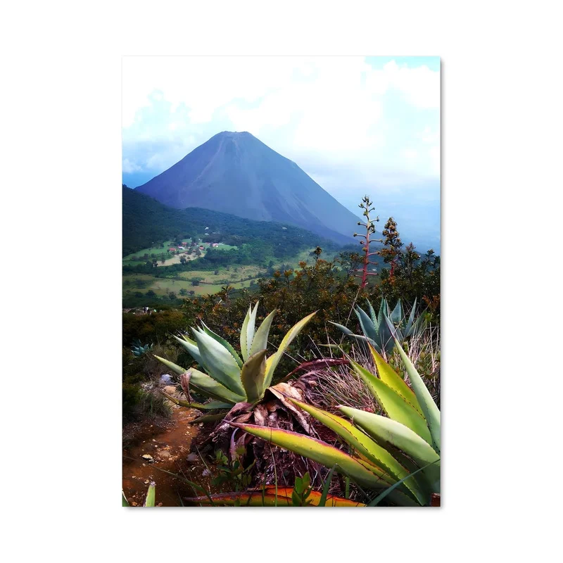 aesthetic-posters21545577