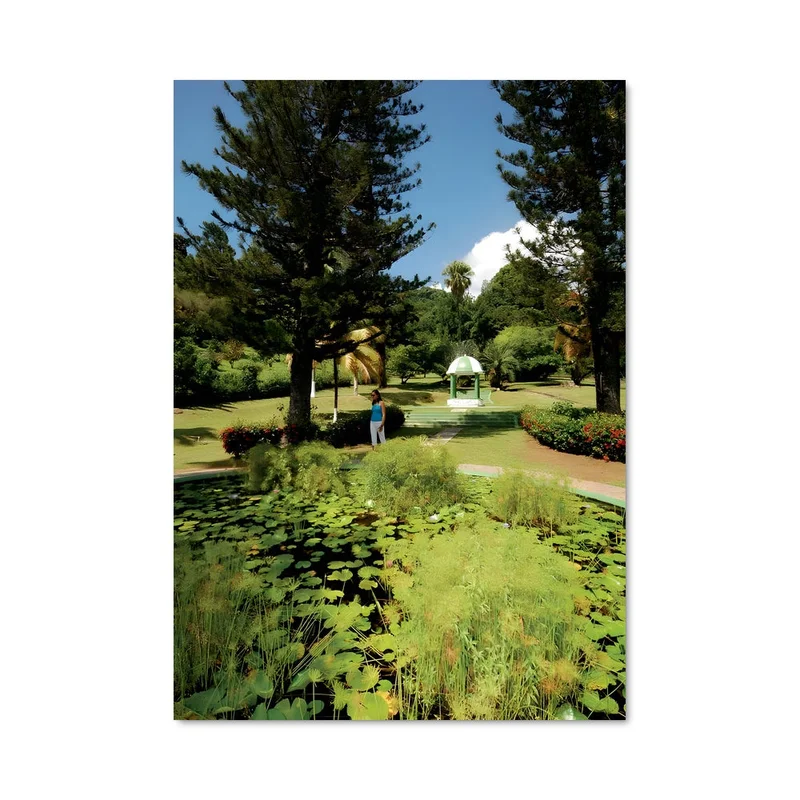 aesthetic-posters21557550