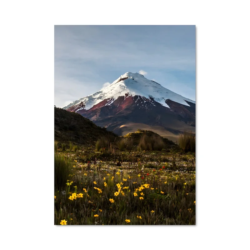 aesthetic-posters21576192