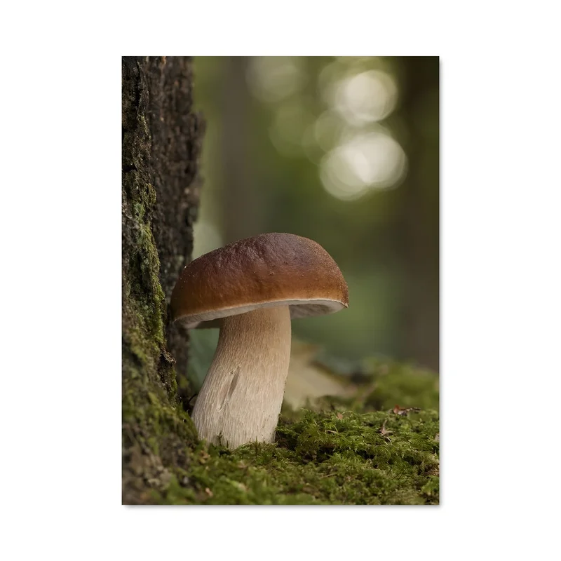 aesthetic-posters21586666