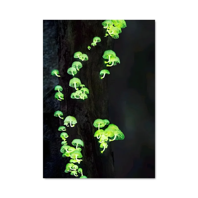 aesthetic-posters21586795