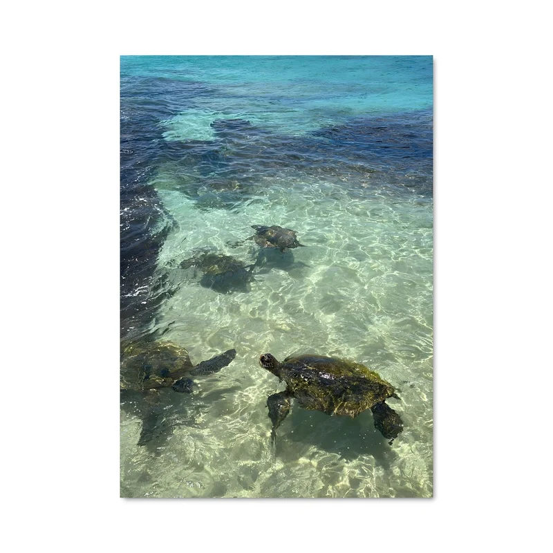 aesthetic-posters21596012