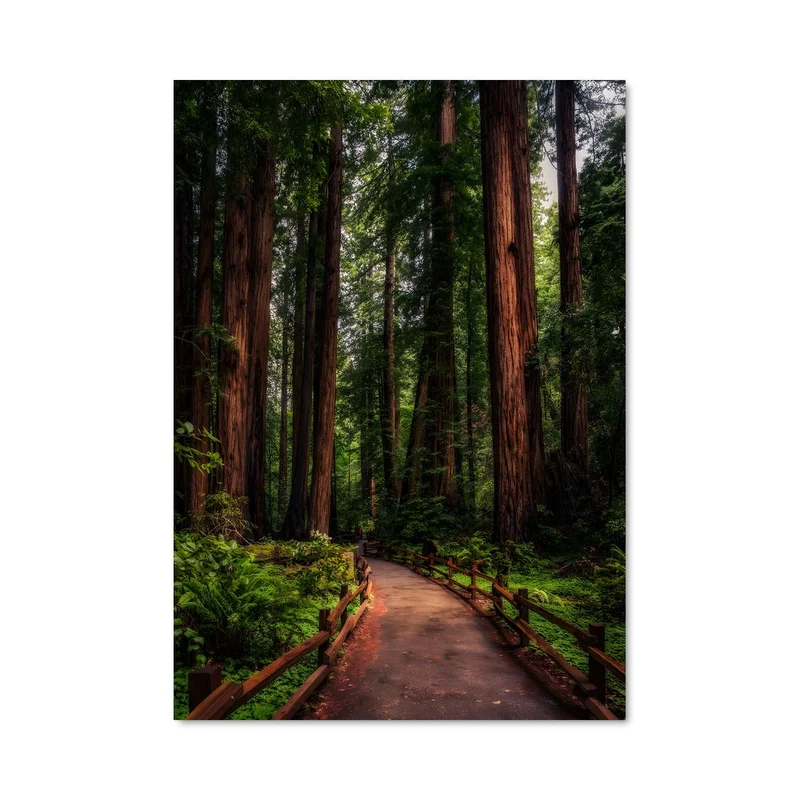 aesthetic-posters21618951