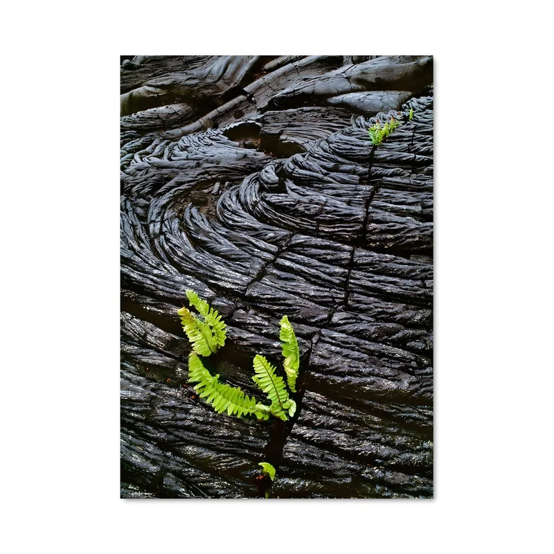aesthetic-posters21634422