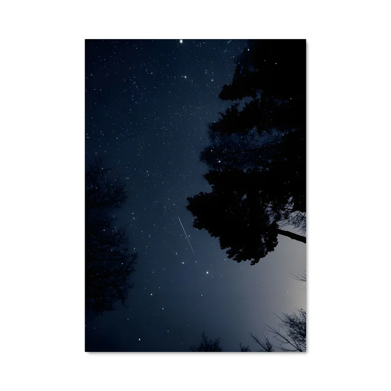 aesthetic-posters21646106