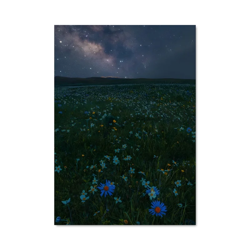 aesthetic-posters21646854