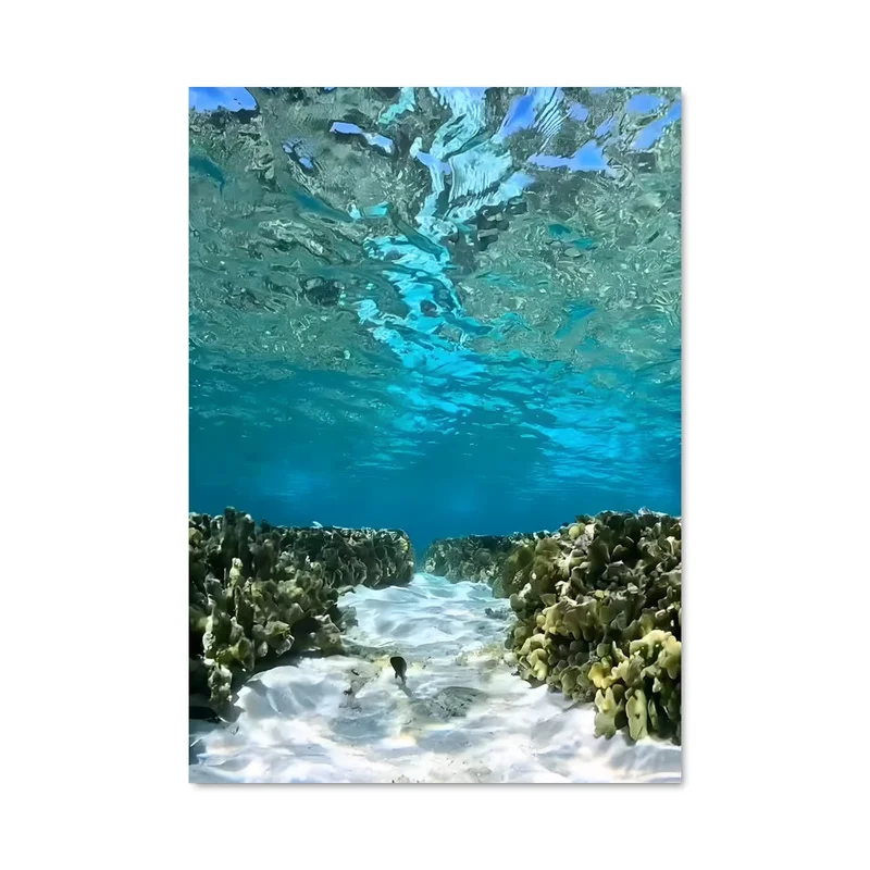 aesthetic-posters21650406