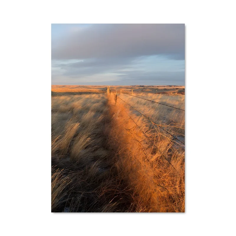 aesthetic-posters21654731