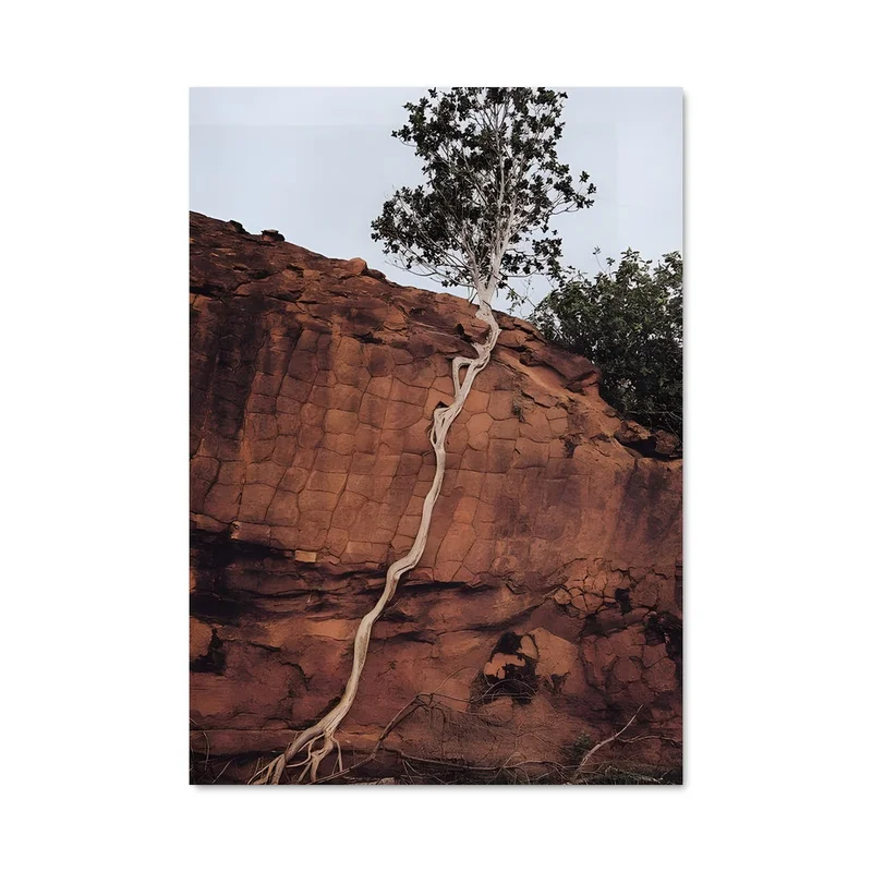aesthetic-posters21670230