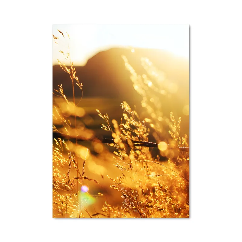 aesthetic-posters21678092