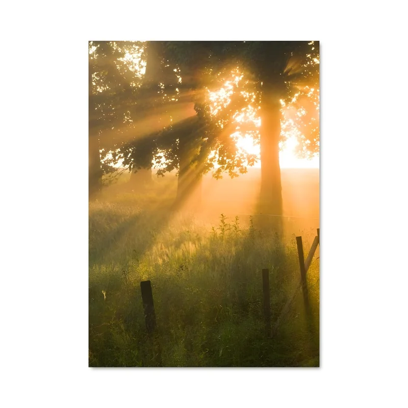 aesthetic-posters21678132