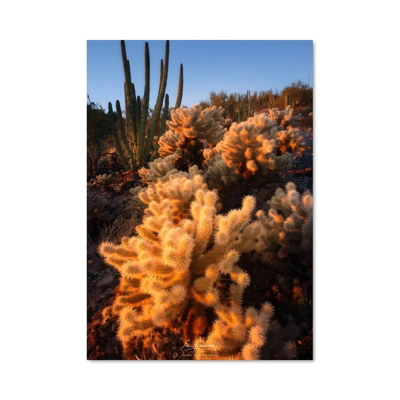 aesthetic-posters21689467