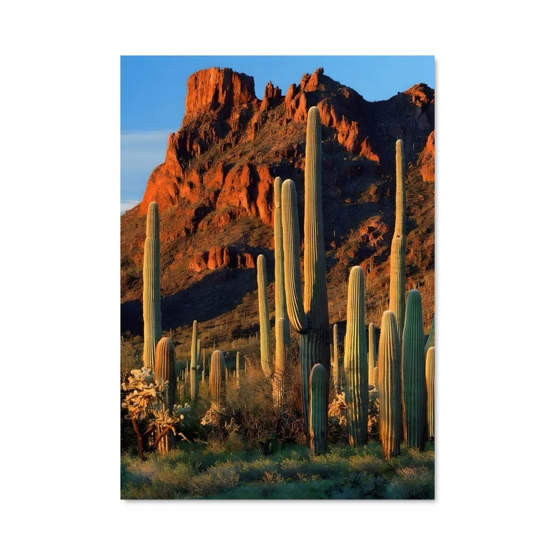 aesthetic-posters21689921
