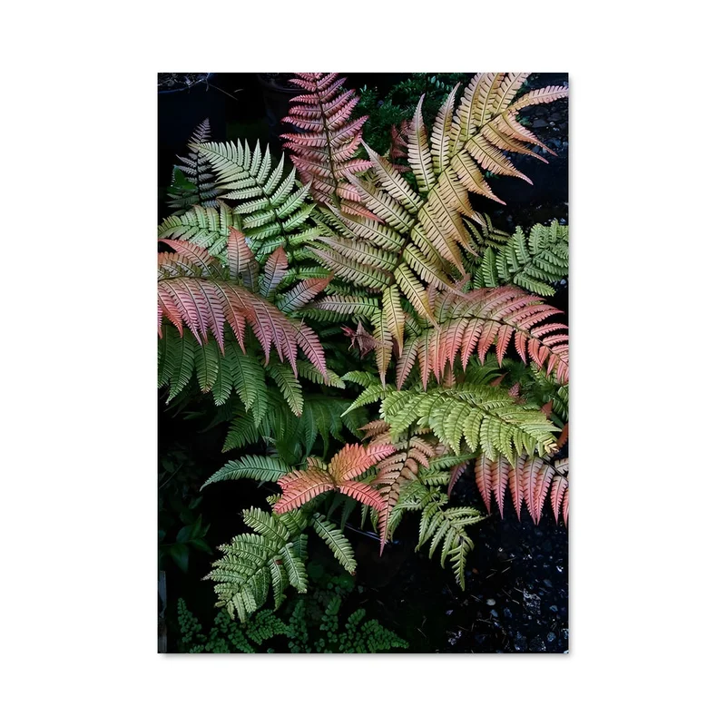 aesthetic-posters21692108