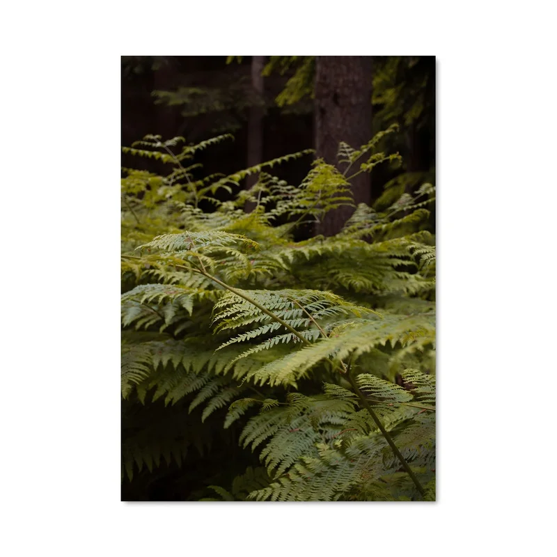 aesthetic-posters21692528