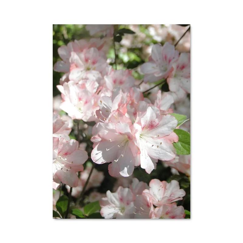 aesthetic-posters21693459