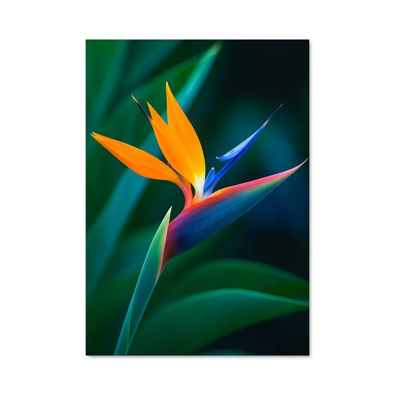 aesthetic-posters21694150