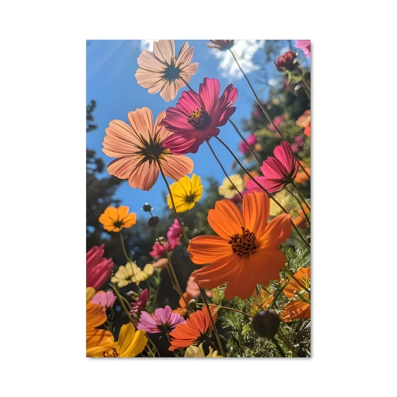 aesthetic-posters21697065