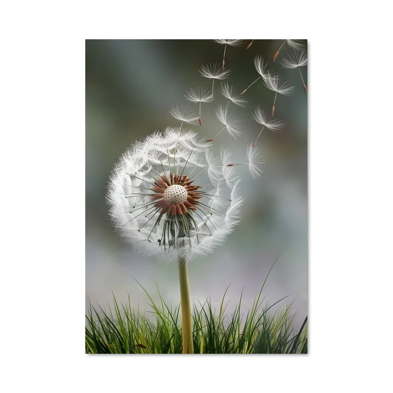 aesthetic-posters21698163