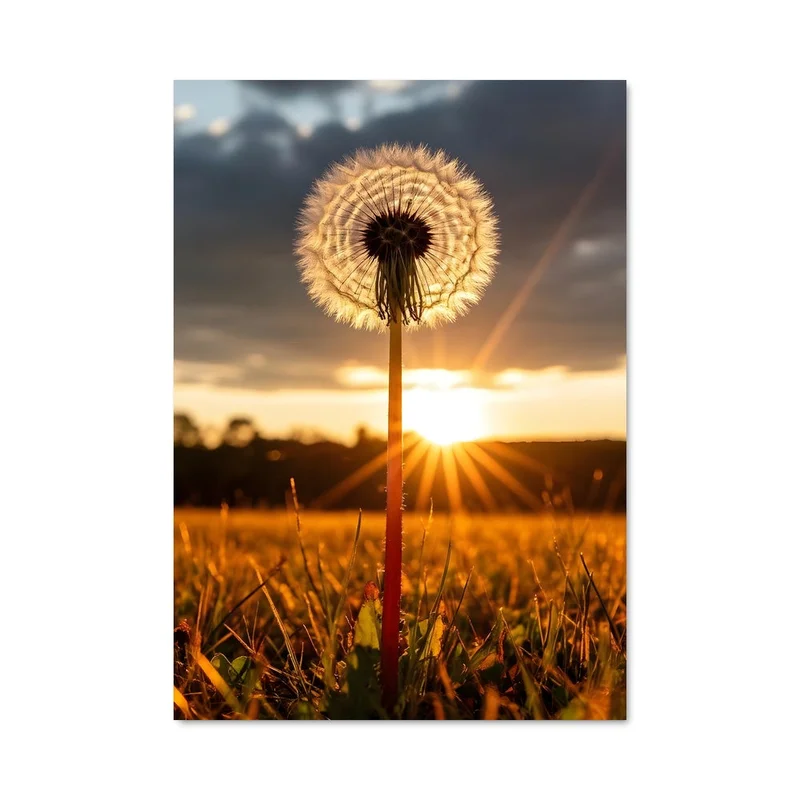 aesthetic-posters21698241
