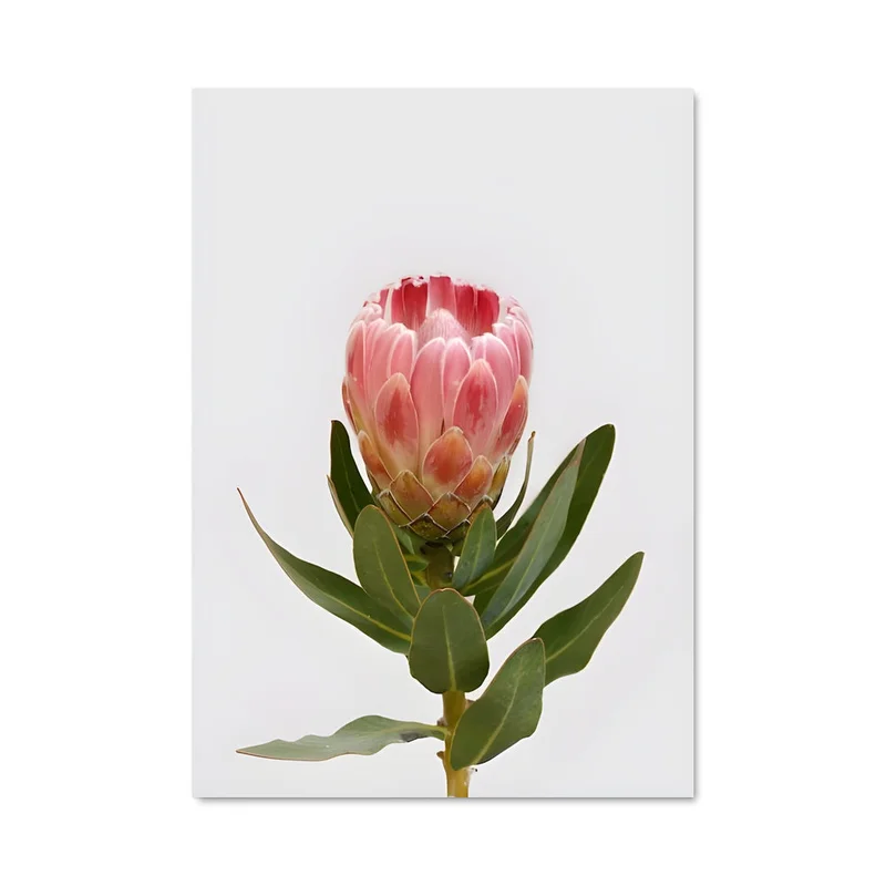 aesthetic-posters21705990