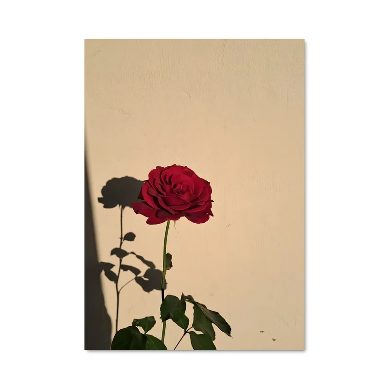aesthetic-posters21706619