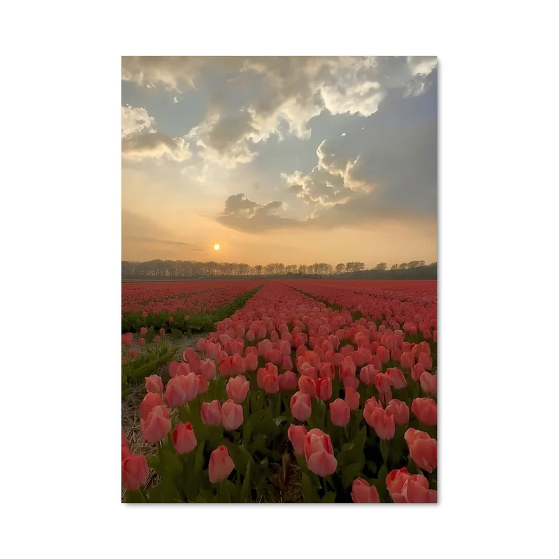 aesthetic-posters21707852