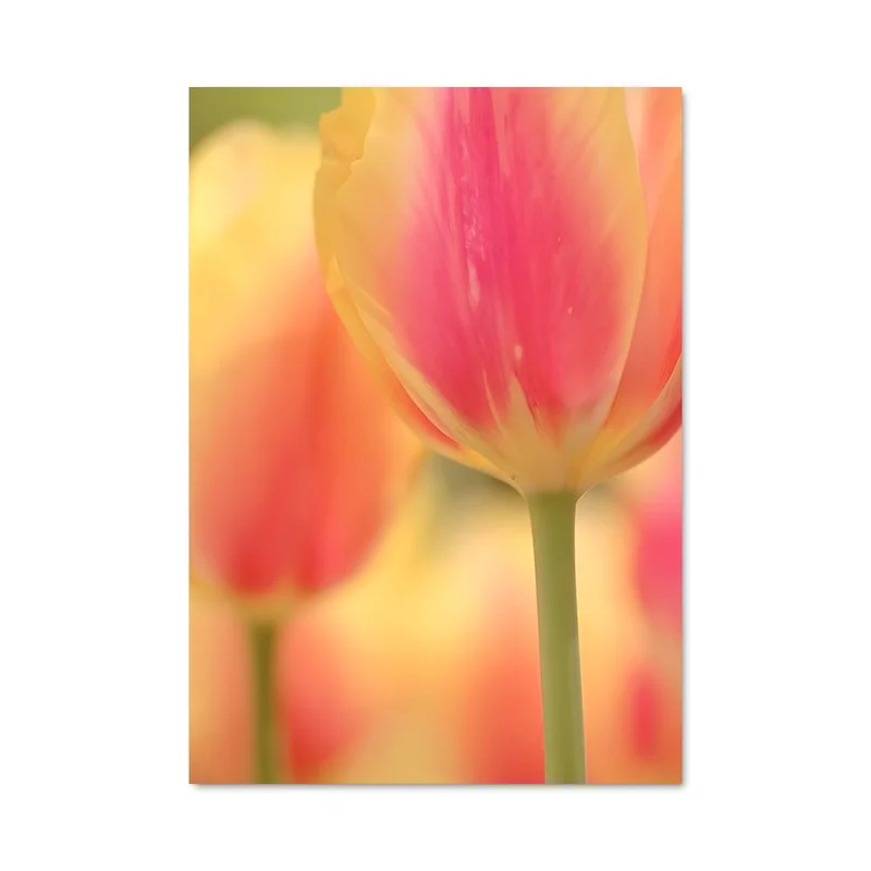 aesthetic-posters21707971