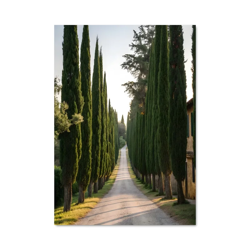 aesthetic-posters21715535