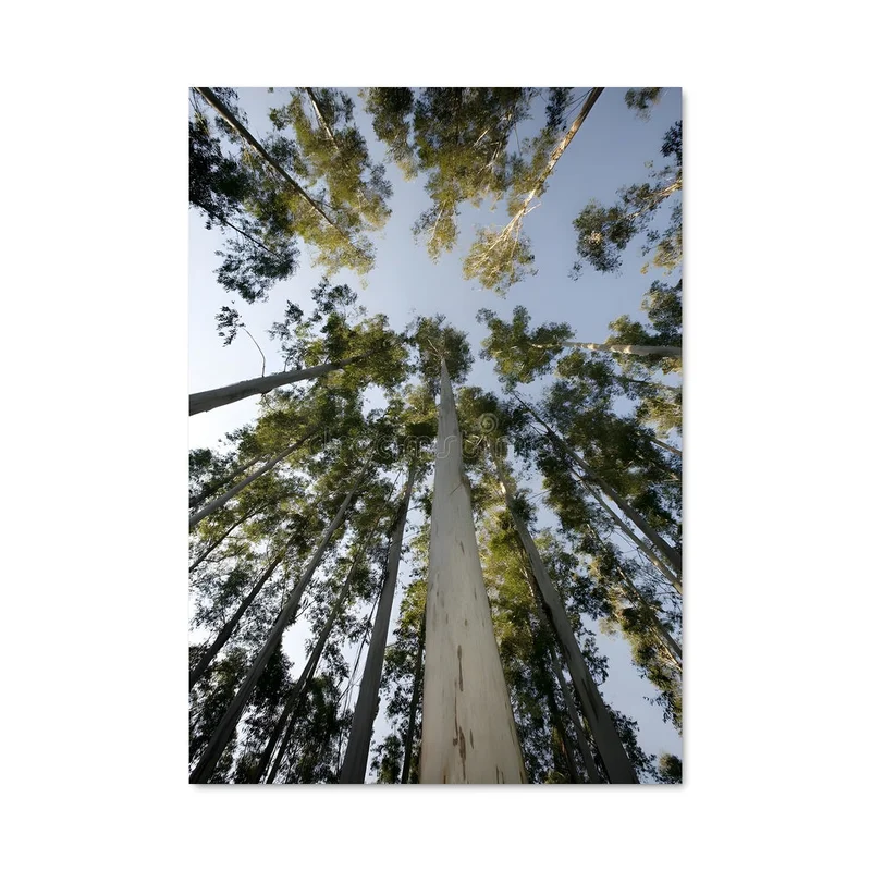 aesthetic-posters21716095