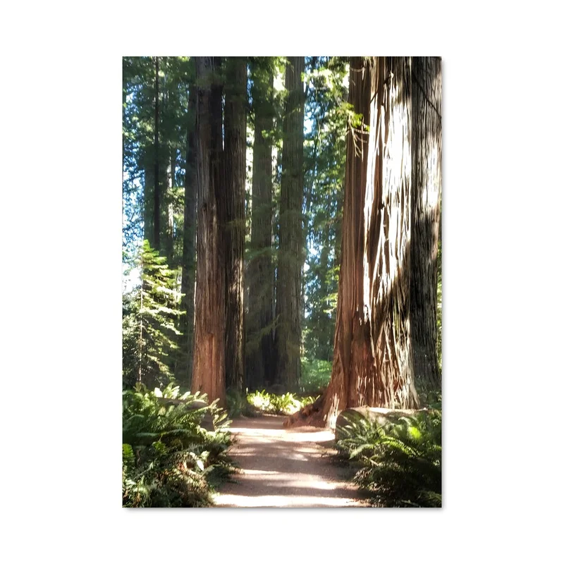 aesthetic-posters21718439