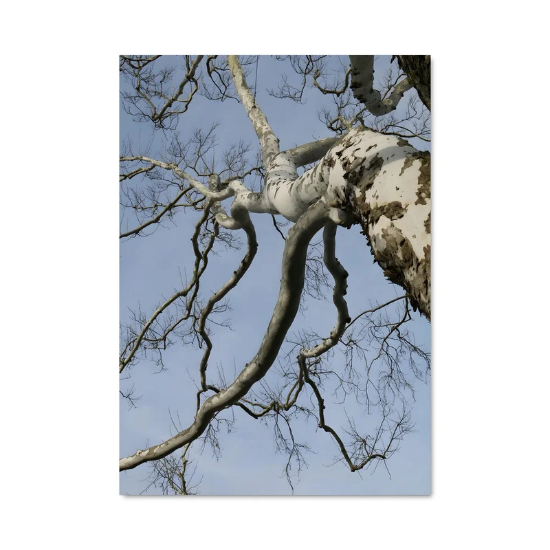 aesthetic-posters21719078