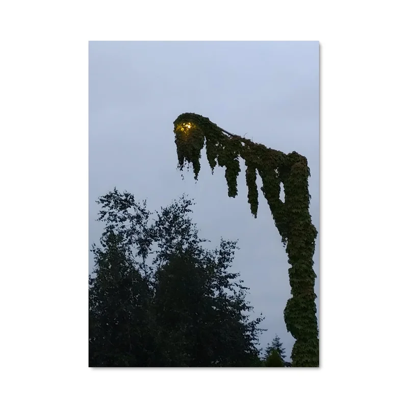 aesthetic-posters21721829