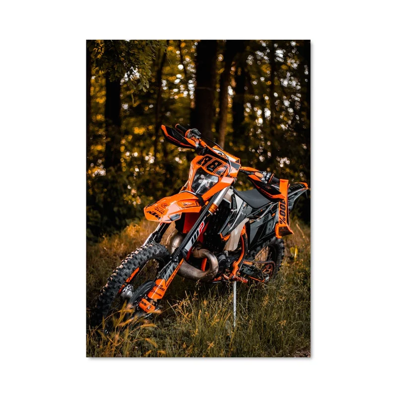 aesthetic-posters31303913