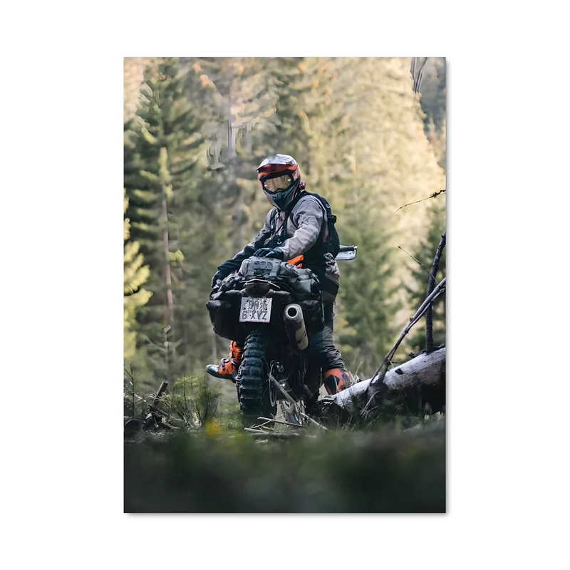 aesthetic-posters31304119