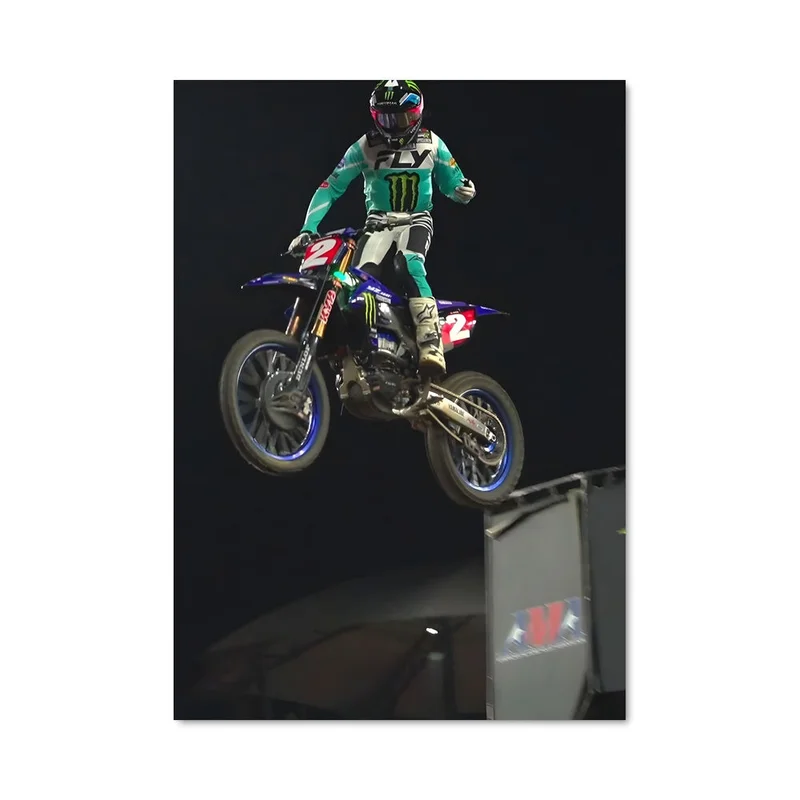 aesthetic-posters31305418